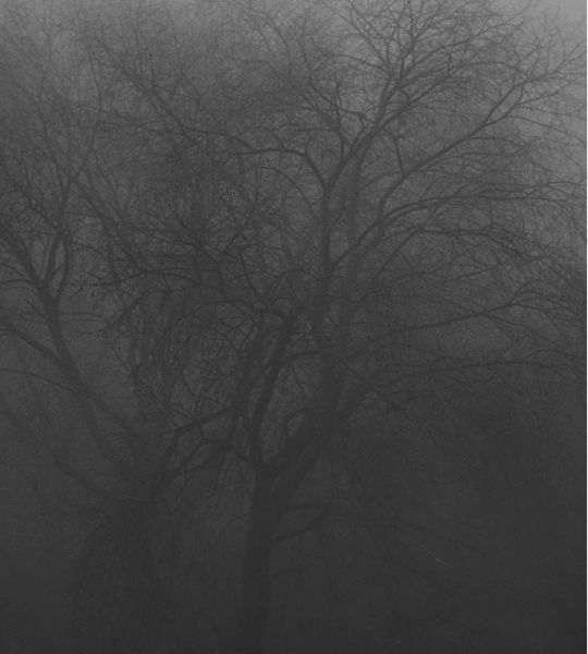 srie Deep Fog - DF026, 1998