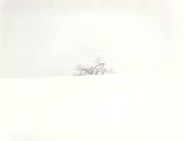 srie Snow Land - SL004, 2005
