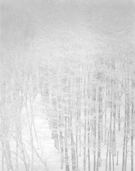 srie Snow Land - SL205, 2010