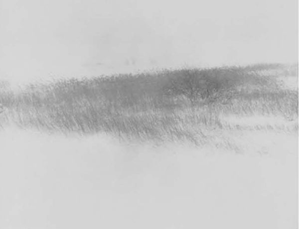 srie Snow Land - SL371, 2011
